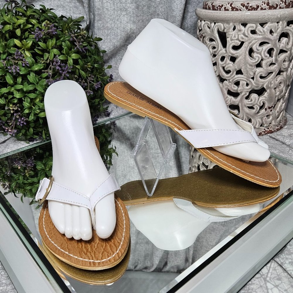 Charles Albert Flip-Flops - NEW